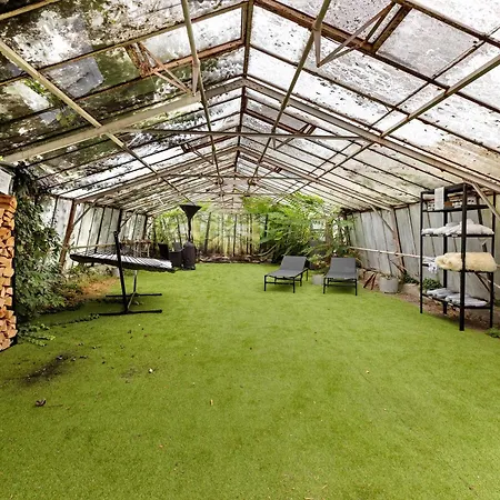 Seeluft Direkt Am Wasser * Reichenau